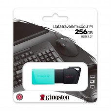Накопичувач Kingston 256GB USB 3.2 Type-A Gen1 DT Exodia M