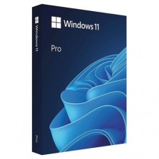 Windows 11 Pro